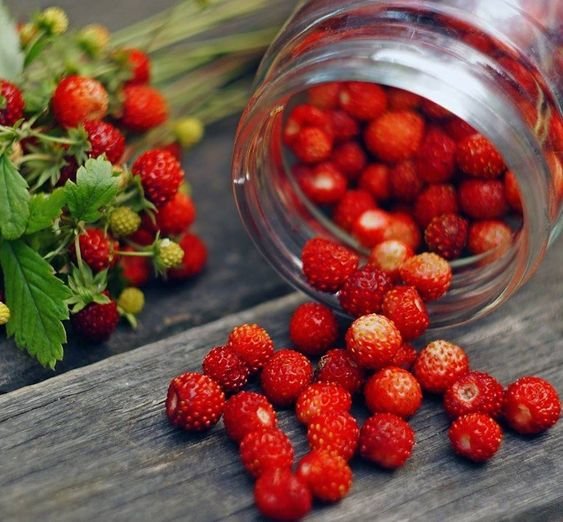 Ягоды - натюрморт, ягоды, лето - оригинал