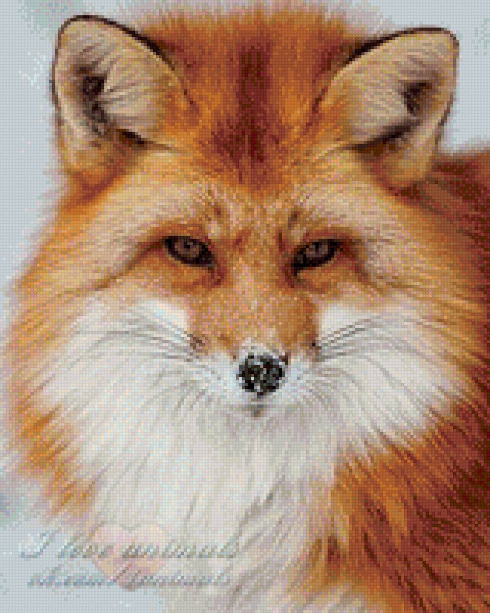 Лиса - лиса, зима - предпросмотр