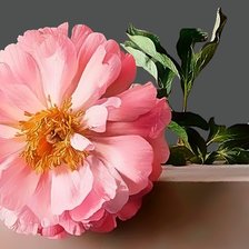 Схема вышивки «По картине Джанлуки Корона»