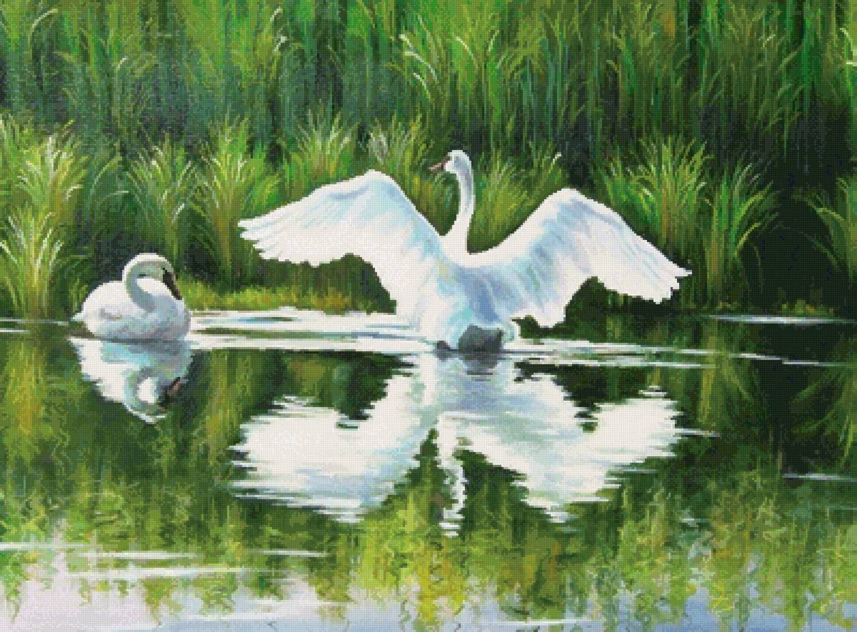 Елена Самарская - пейзаж, лебеди, елена самарская - предпросмотр