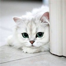 Схема вышивки «Снежок»