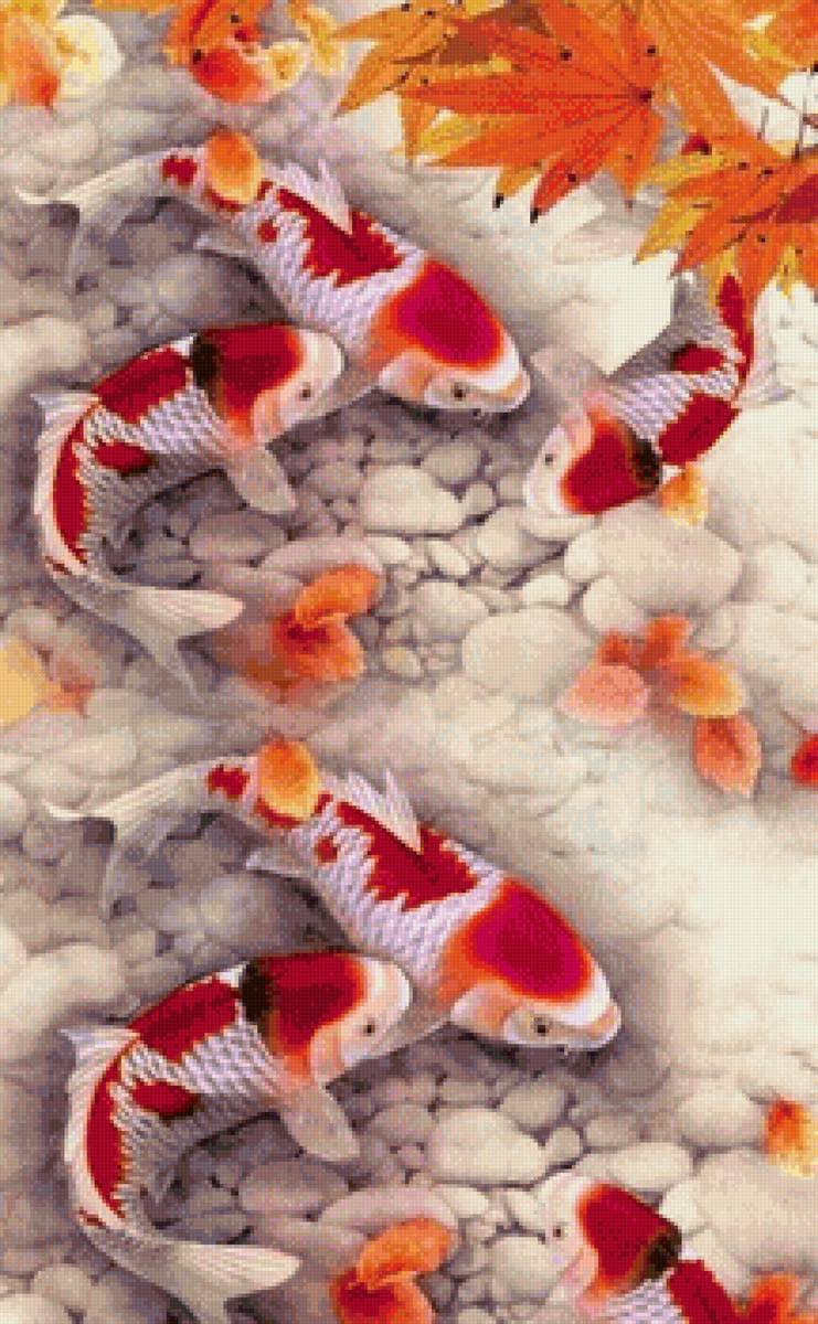 Японские рыбки - рыба, япония, озеро - предпросмотр