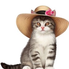 Схема вышивки «Кошка,,Мурка,,»