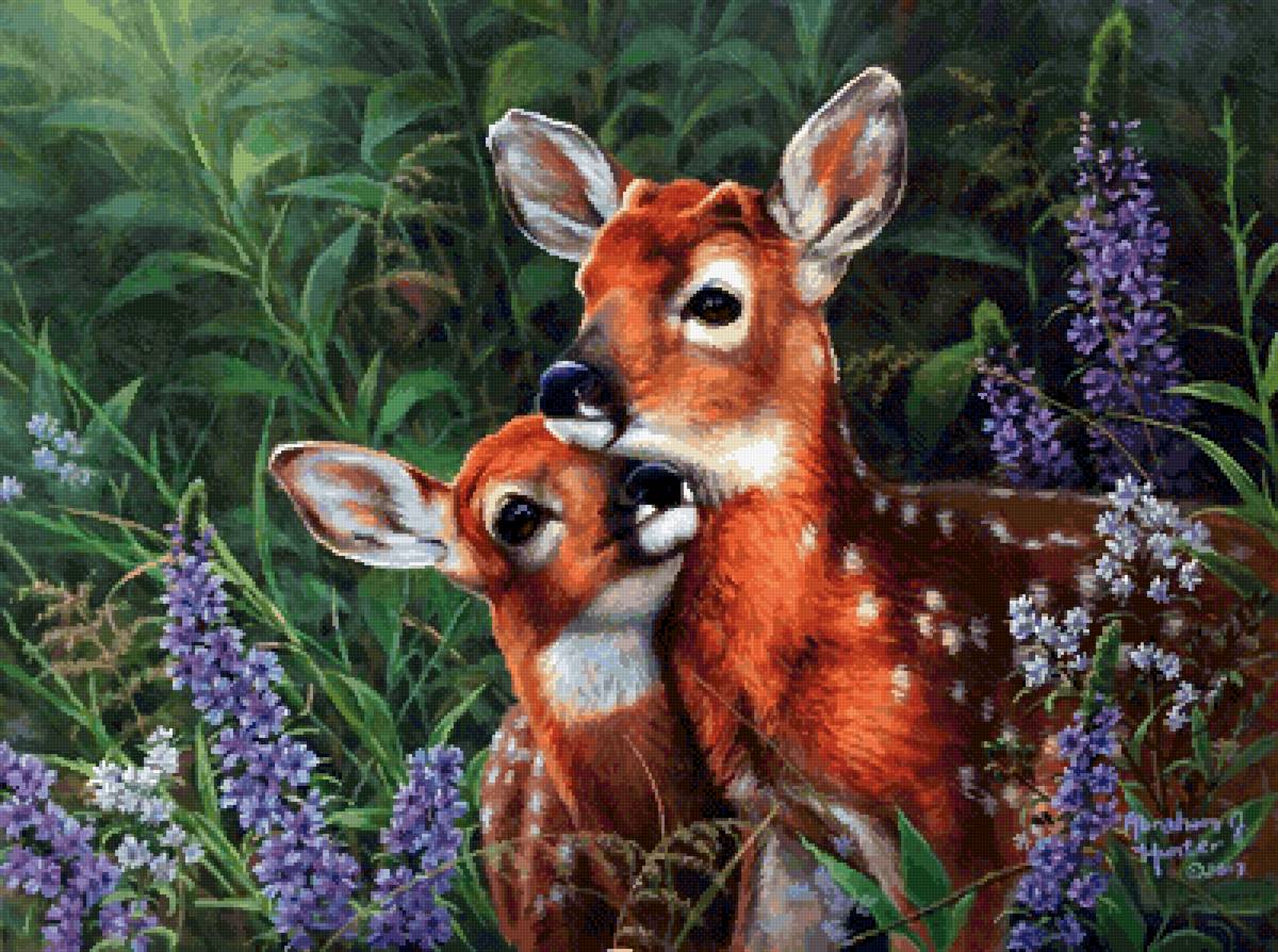 Оленята - цветы, трава, животные, лес, оленята - предпросмотр