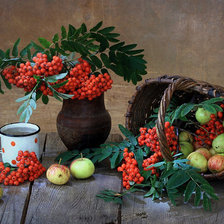 Схема вышивки «№2547975»