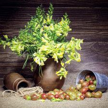 Схема вышивки «Крыжовник»