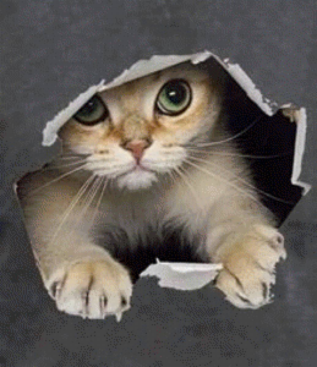 А вот и я ! - кот 🐱 - предпросмотр