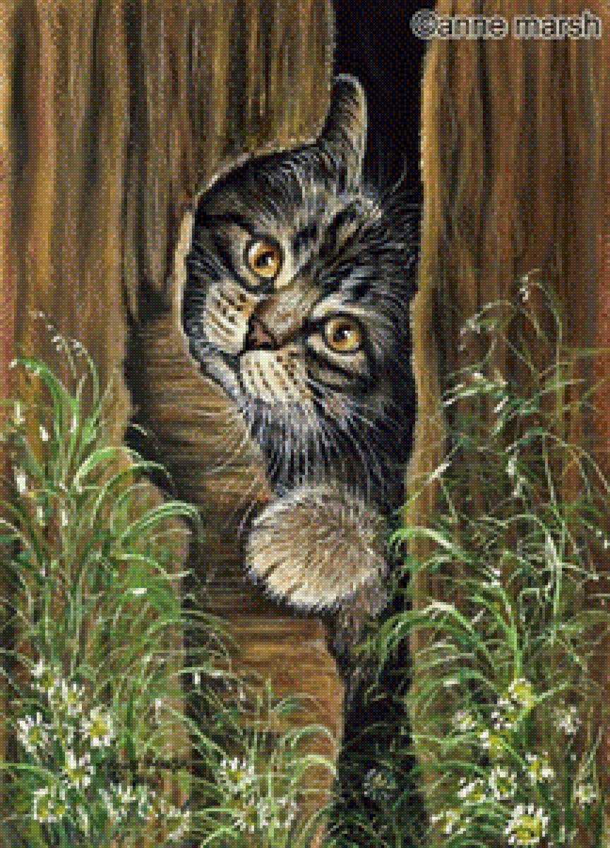 Серенький котик - кот 🐱 - предпросмотр