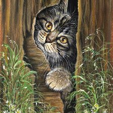 Серенький котик