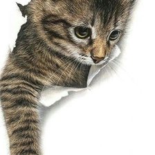 Схема вышивки «Кот»