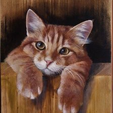 Схема вышивки «Рыжий кот»