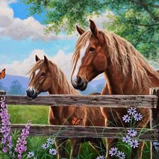 Схема вышивки «Лошадь»