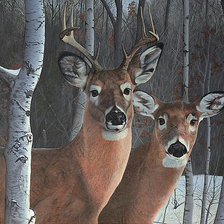 Схема вышивки «№2548288»