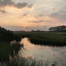 Схема вышивки «Природа»