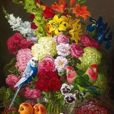 Схема вышивки «Попугаи»