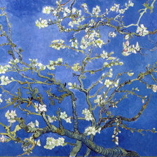 Цветущий миндаль