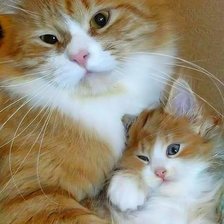 Схема вышивки «№2548692»