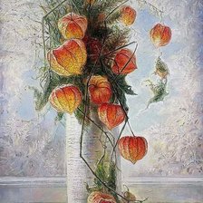 Зимний физалис