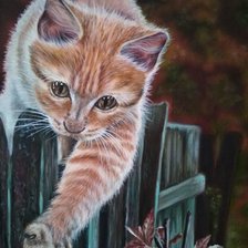 Схема вышивки «котя, акварель, пнк»