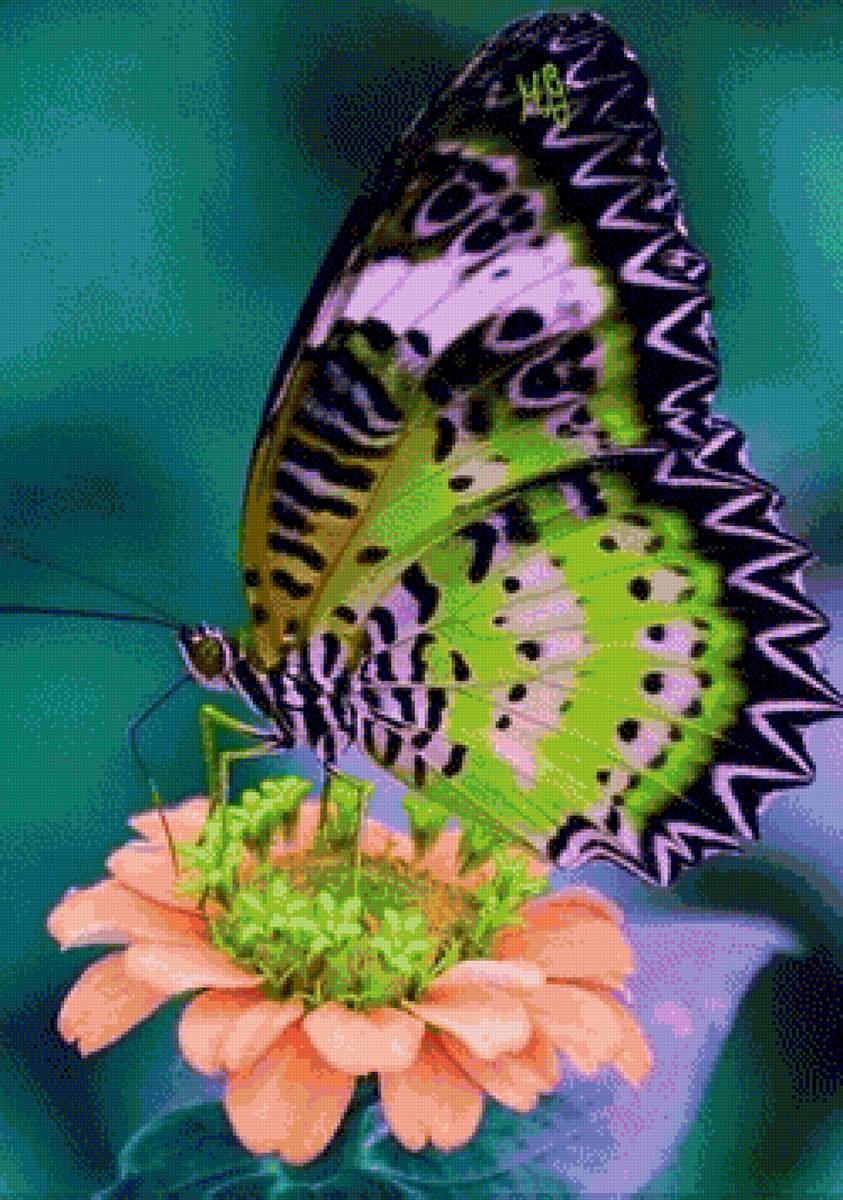 №2549076 - предпросмотр