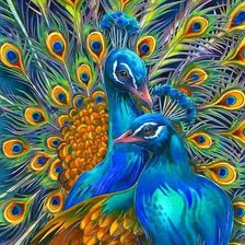 Схема вышивки «PAVOS REALES»