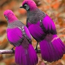 Схема вышивки «№2549534»