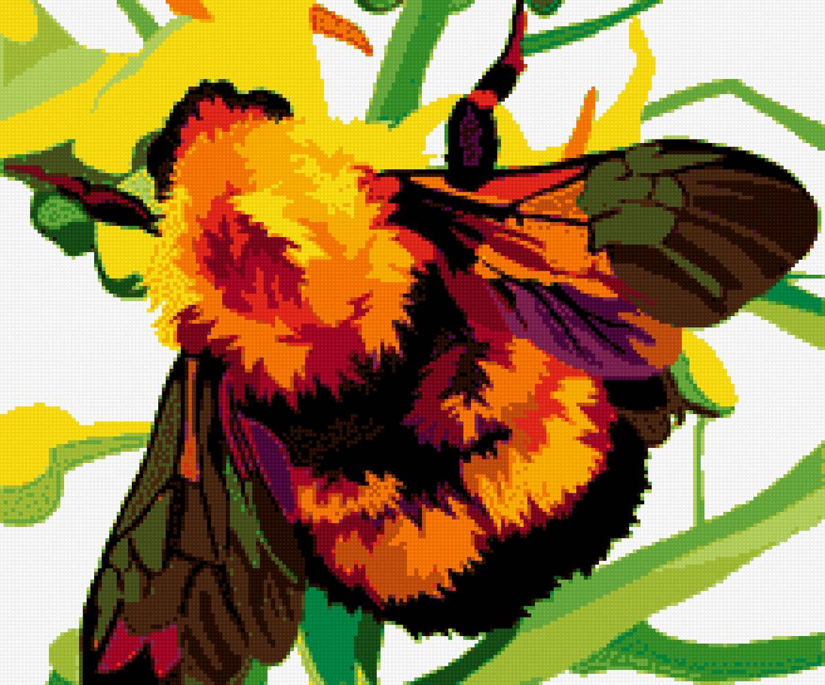 Шмель - шмель - предпросмотр