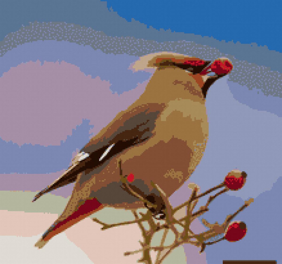 Свирестель - сверестель, птица - предпросмотр