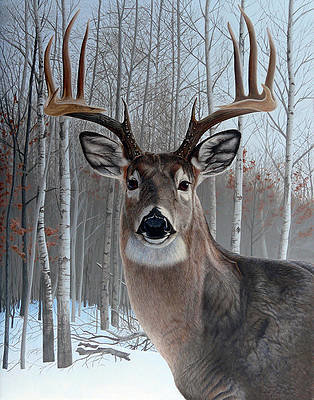 №2549581 - оригинал