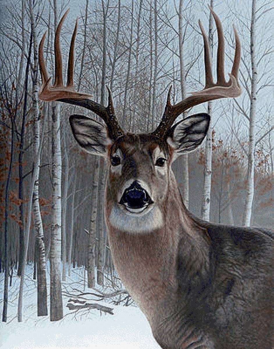 №2549581 - предпросмотр