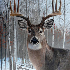 Схема вышивки «№2549581»