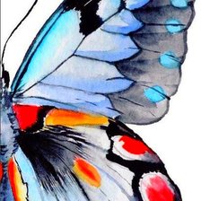 Схема вышивки «Бабочка»