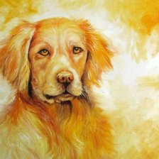 Схема вышивки «собака, акварель, пнк»