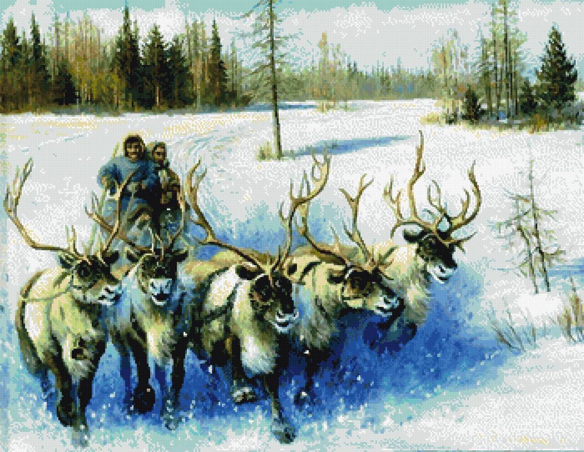 зима, север,олени, оленеводы, пнк - предпросмотр