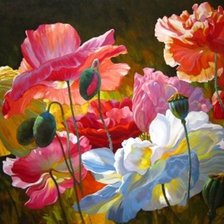 Схема вышивки «маки, акварель, пнк»