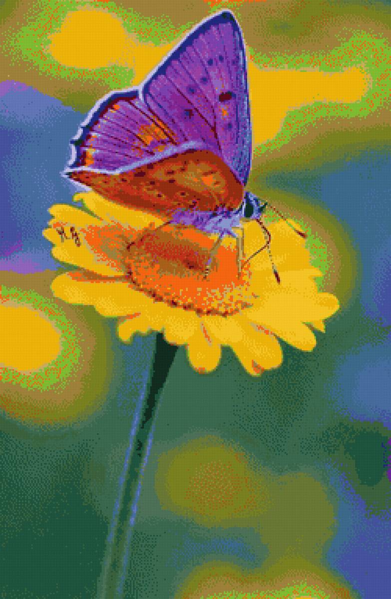 №2549643 - предпросмотр