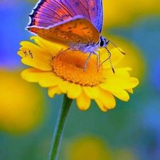 Схема вышивки «№2549643»