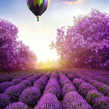 Схема вышивки «Лаванда»