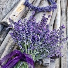 Схема вышивки «Лаванда»