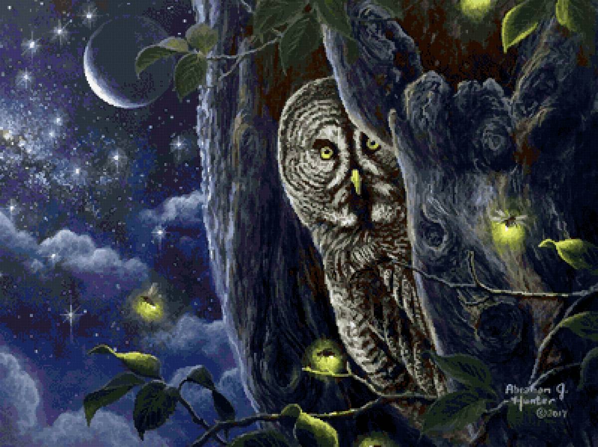 Сова - светлячки, ночь, сова, луна, полнолуние, дерево - предпросмотр
