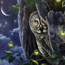 Схема вышивки «Сова»