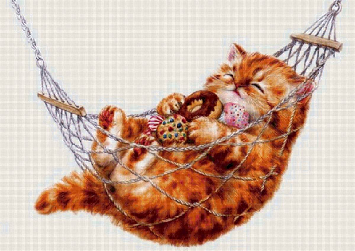 Кот в гаммаке - кот 🐱 - предпросмотр