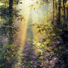 Утро в лесу. Виктор Юшкевич