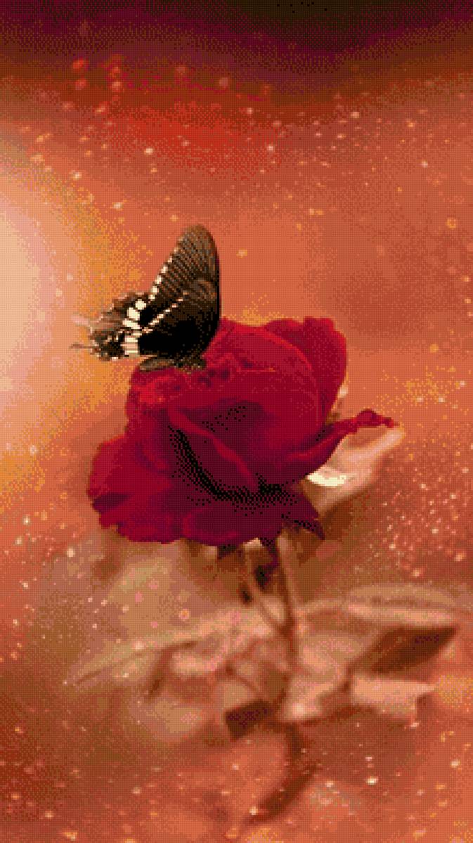 №2549889 - предпросмотр