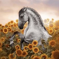 Схема вышивки «№2549900»