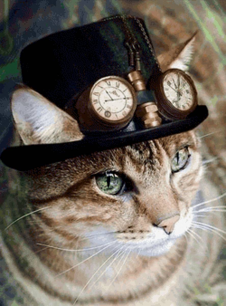 Кот в шляпе - кошачий портрет, кошки - предпросмотр