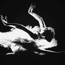 Схема вышивки «Плисецкая»