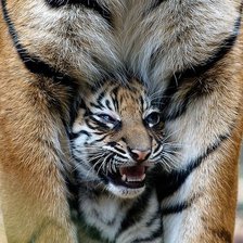 Схема вышивки «Под надёжной маминой охраной»