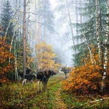 Схема вышивки «Картина»