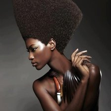 Схема вышивки «Африка»